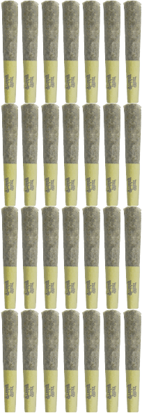 Next Friday - Burner Phone Pre-Rolls 28x0.5g | 14g