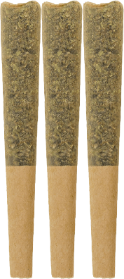 The Loud Plug - Terp Gush Key West Lime Infused Pre-Rolls 3x0.5g | 1.5g