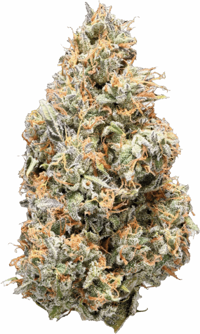 Nugz - Rotating Sativa | 14g