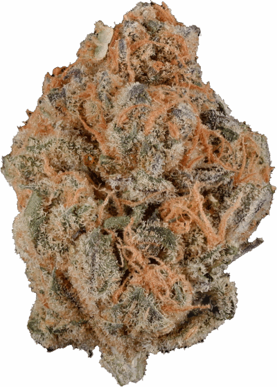 Sheeesh! - Trop Cherry | 3.5g
