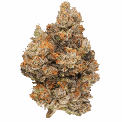 Lot 420 - Lemon Cherry Gelato | 14g