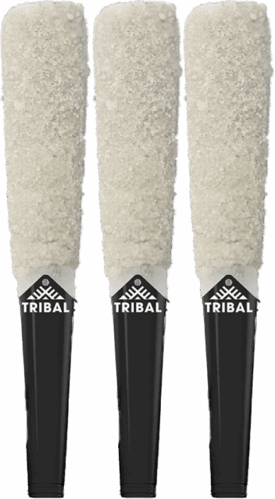 Tribal - Neon Sunshine Trifecta Resin & Terp Sauce Infused Diamond Coated Pre-Rolls 3x0.6g | 1.8g