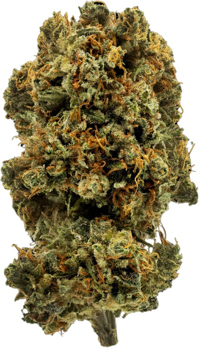 1964 - Blue Dream | 3.5g