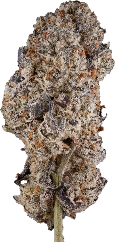 3rd Coast Genetics - The Dark Side | 14g