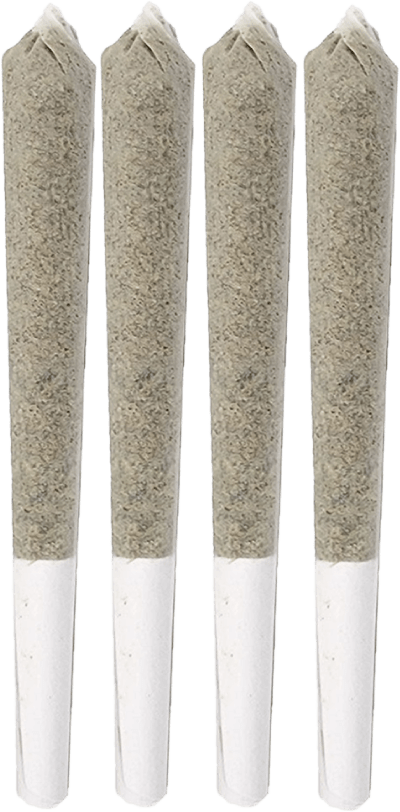 Wreckroom - Daydream (Sativa Blend) Pre-rolls 4x0.5g | 2g