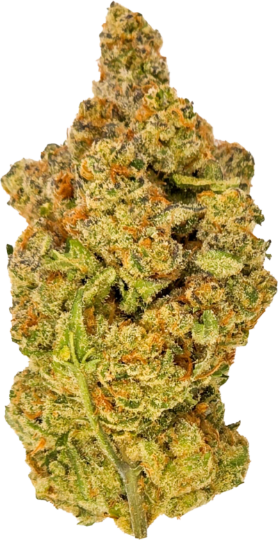 Phant - Headbanger | 7g