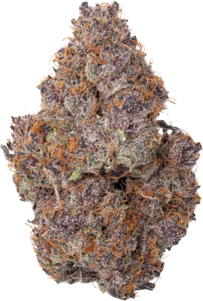 Cultures Chloris - Pineapple Pez | 7g