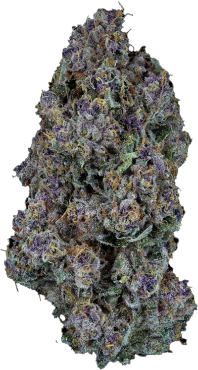 Sweetgrass - Triangle Queen | 3.5g