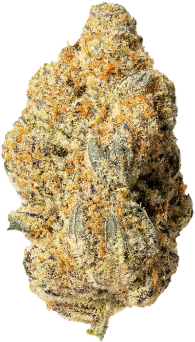 Cultures Chloris - Zombie Bride | 3.5g