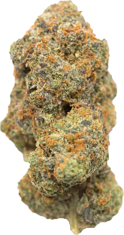 Cultures Chloris - El Chapo | 3.5g