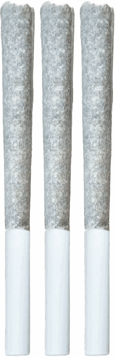 Jazz Cabbage - Supernova Sundae (Indica) Pre-rolls 3x0.5g | 1.5g