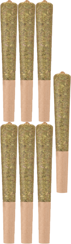 Woody Nelson - 33 Splitter Pre-Rolls 7x0.5g | 3.5g