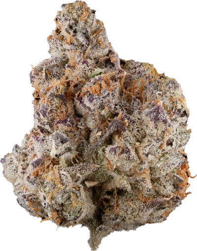 3rd Coast Genetics - Black Truffle | 14g