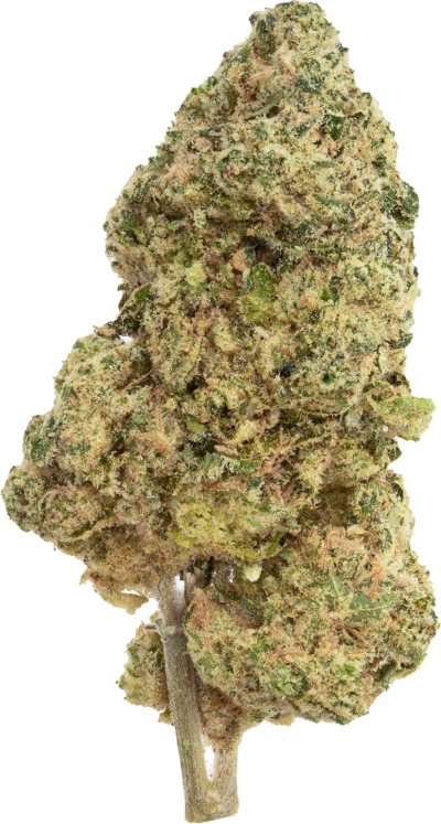 The Republic - Black Label | 7g