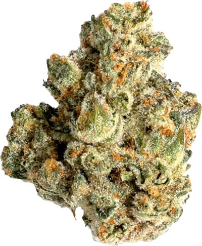 Bambu Select - Double Donny | 3.5g